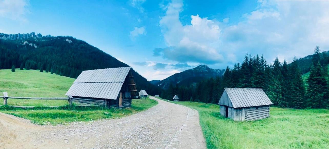 Goralska Chatka Kościelisko Eksteriør bilde